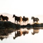 Exploring the Climate of Ypacarai Lake Weather Patterns and Seasons2